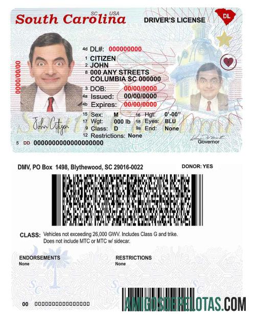 Carteira de motorista do estado da Carolina do Sul nos EUA (2020 - presente) modelo